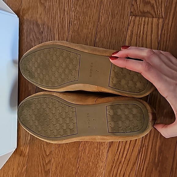 BIRDIES The Starling - Picture 5 of 7